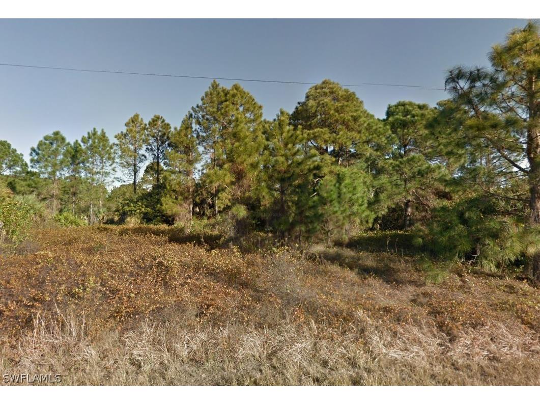 1241 Boxwood Street E Lehigh Acres FL 33974 223004630 image1