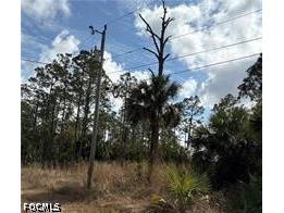 1242 Creary Street E Lehigh Acres FL 33974 2026024268 image1