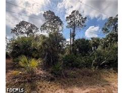 1242 Creary Street E Lehigh Acres FL 33974 2026024268 image2