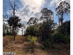 1242 Creary Street E Lehigh Acres FL 33974 2026024268 image3