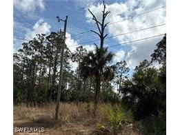 1242 Creary Street E Lehigh Acres FL 33974 226003366 image1