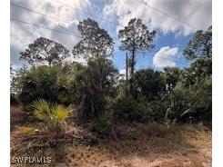 1242 Creary Street E Lehigh Acres FL 33974 226003366 image2