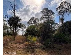 1242 Creary Street E Lehigh Acres FL 33974 226003366 image3