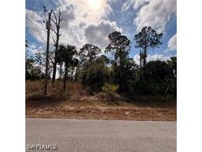 1242 Creary Street E Lehigh Acres FL 33974 226003366 image4