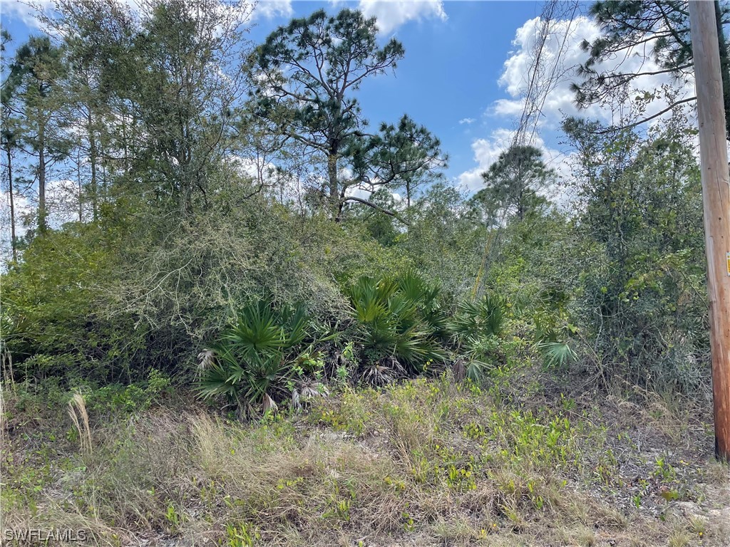 1242 Randolph Street Lehigh Acres FL 33974 222041076 image1