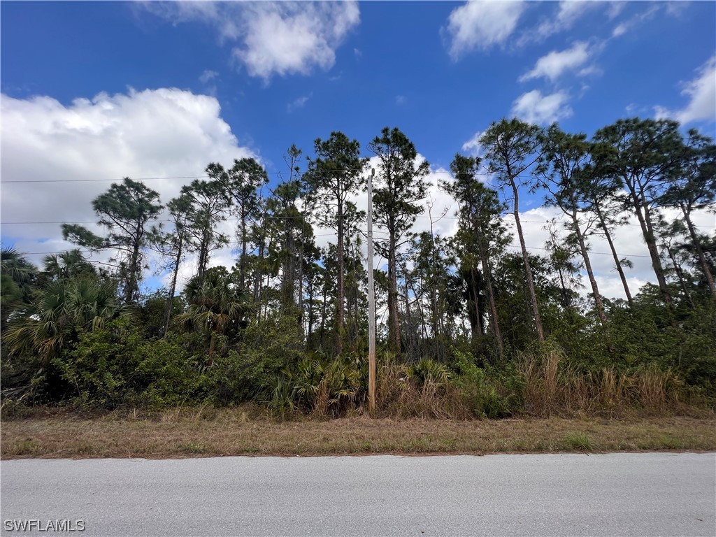 1243 Cresent Street E Lehigh Acres FL 33974 223014891 image1