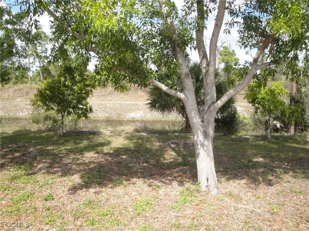 1243 Damen Street E Lehigh Acres FL 33974 2025021831 image12