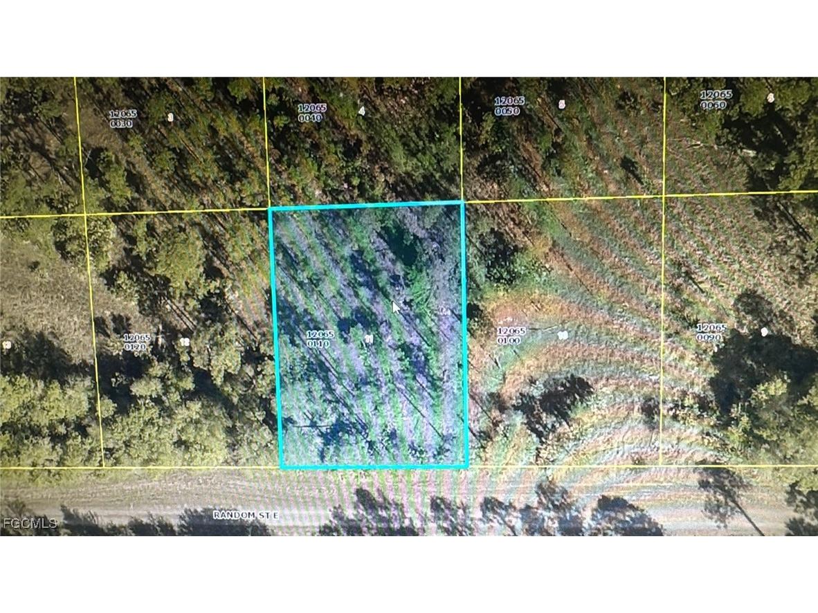 1243 Random Street E Lehigh Acres FL 33974 2025006388 image2