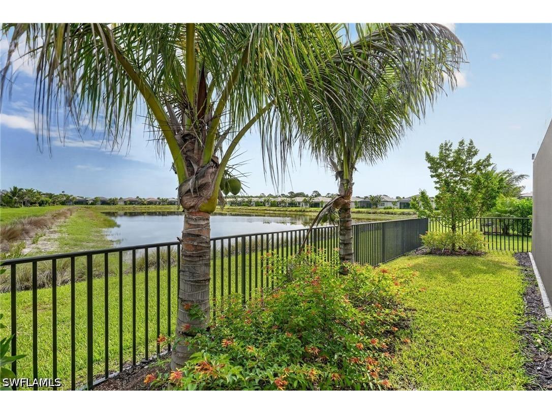 12436 Purple Ficus Way Naples FL 34120 226023335 image40