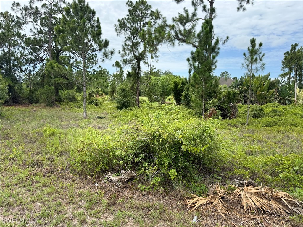 1244 Cordoba Street E Lehigh Acres FL 33974 225059663 image4