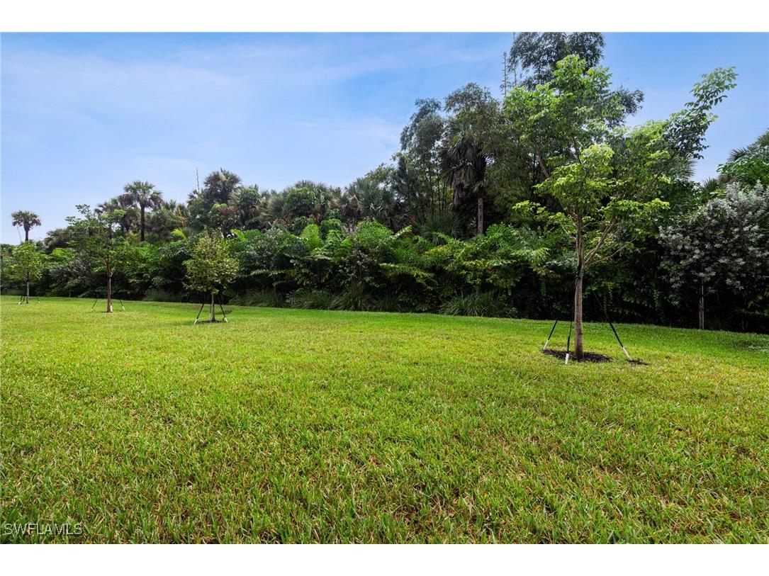 12448 Violet Lane Naples FL 34120 225069922 image44