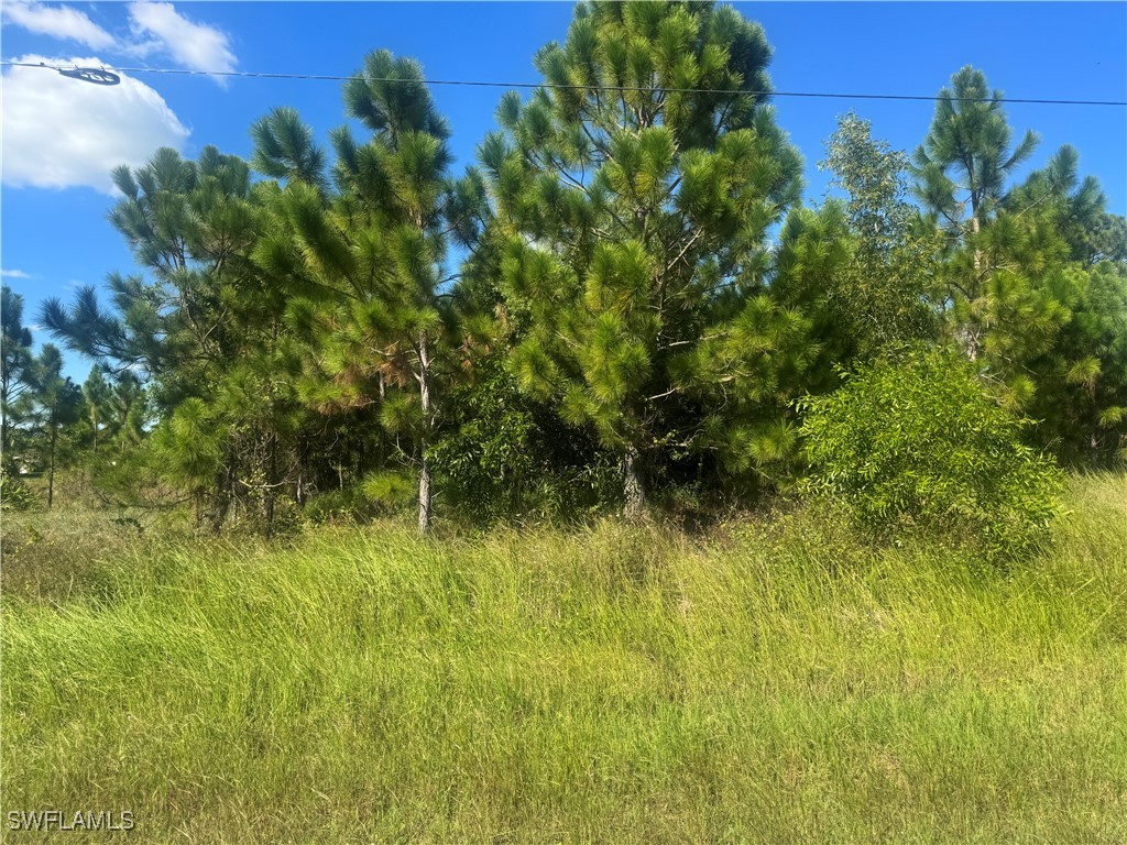 1245 Deauville Street E Lehigh Acres FL 33974 225076035 image1