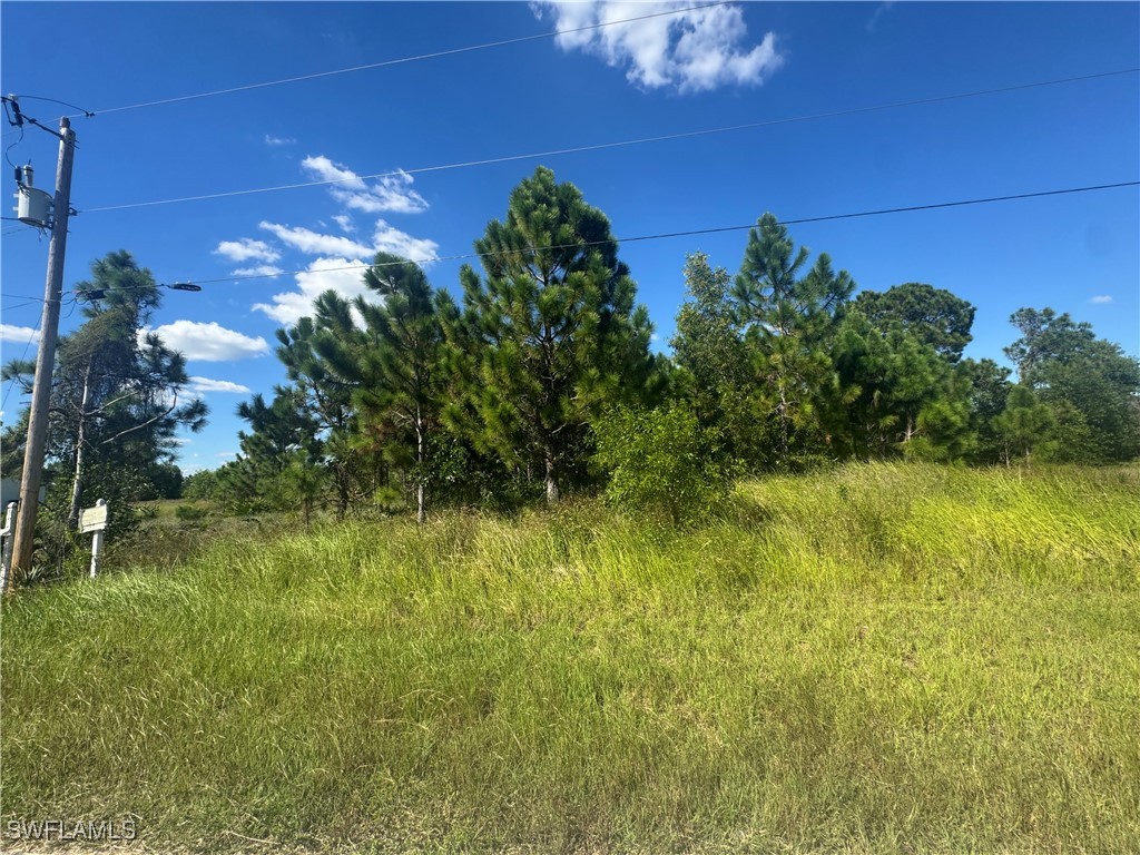 1245 Deauville Street E Lehigh Acres FL 33974 225076035 image2