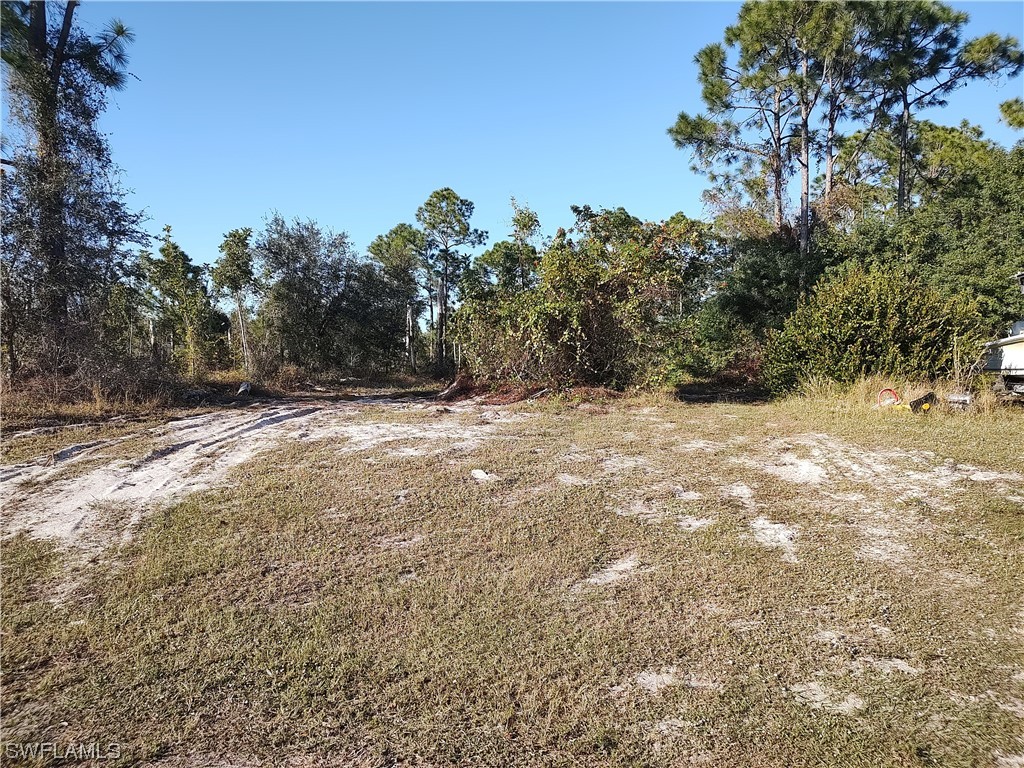 1245 Egbert Street E Lehigh Acres FL 33974 223093198 image1