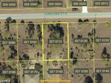 1246 Cordoba Street E Lehigh Acres FL 33974 2026024495 image6