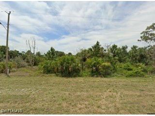 1246 Jaguar Boulevard Lehigh Acres FL 33974 225014210 image1