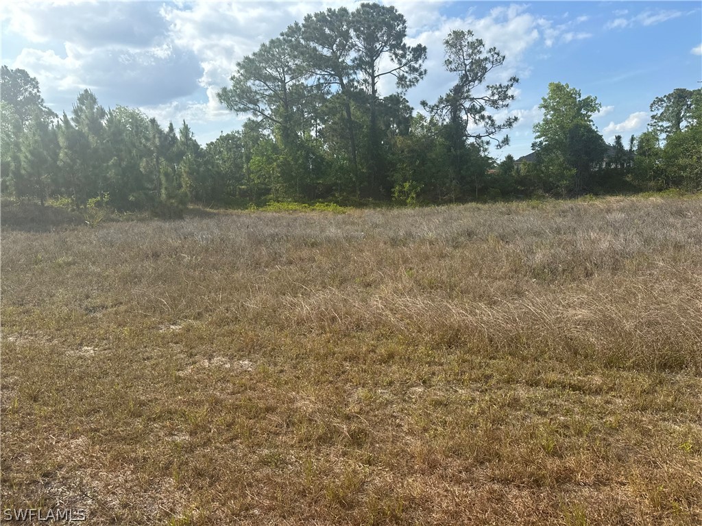 1247 Deauville Street E Lehigh Acres FL 33974 224037924 image1