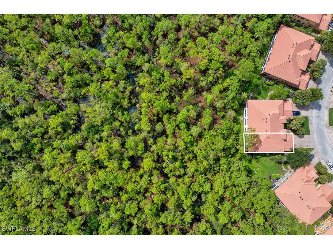 1248 Carpazi Court #703 Naples FL 34105 225070635 image20