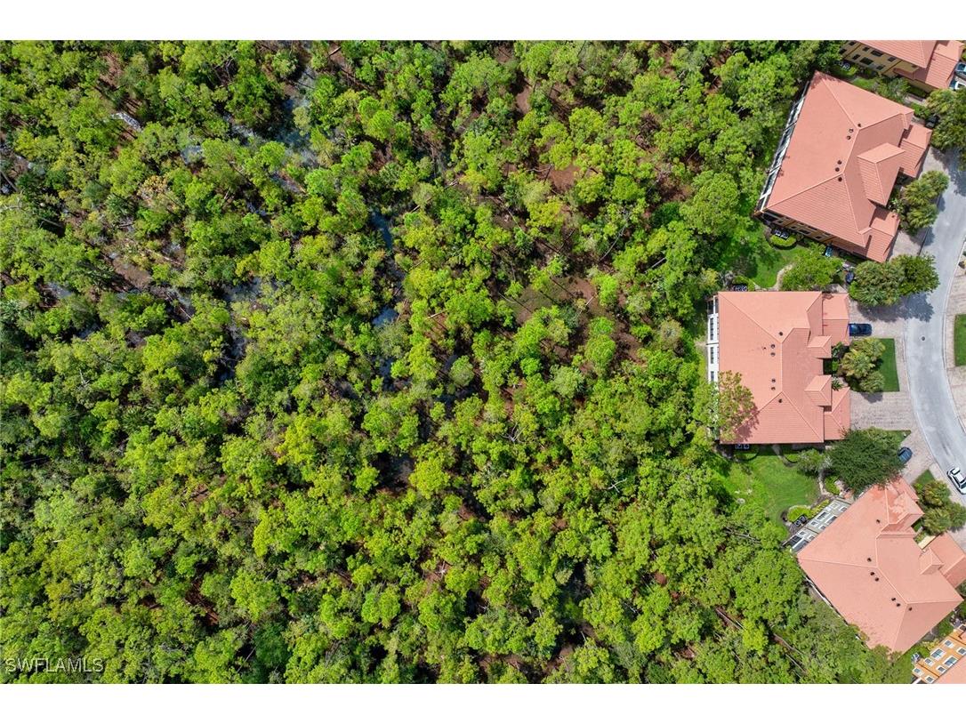 1248 Carpazi Court #703 Naples FL 34105 225070635 image21