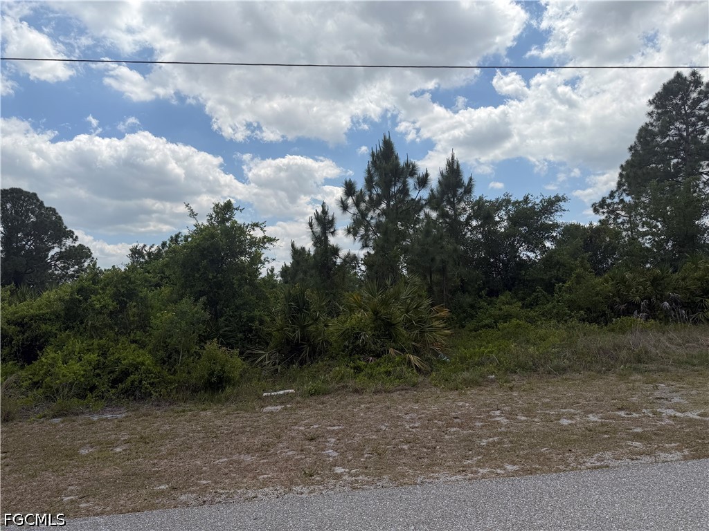 1249 Galileo Street E Lehigh Acres FL 33974 2026019233 image1