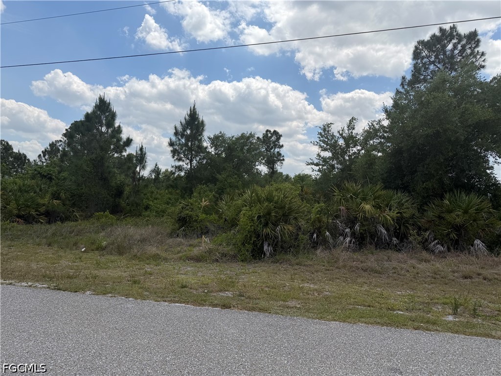1249 Galileo Street E Lehigh Acres FL 33974 2026019233 image2
