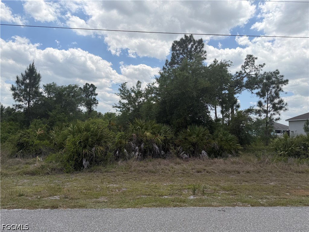 1249 Galileo Street E Lehigh Acres FL 33974 2026019233 image5