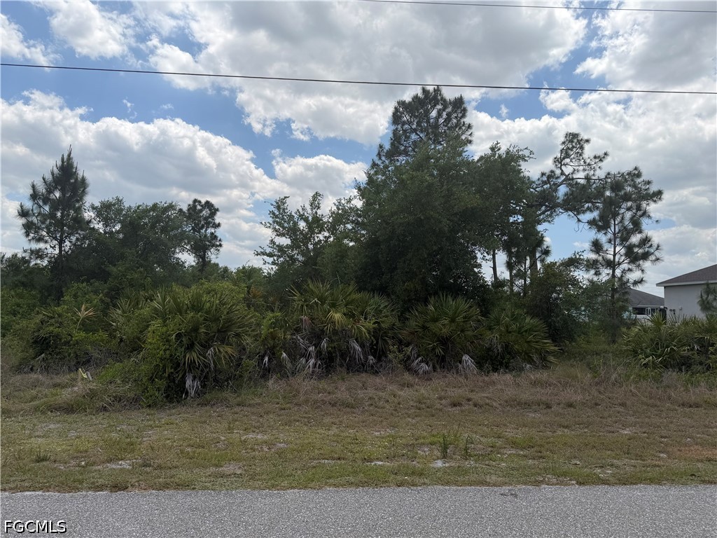1249 Galileo Street E Lehigh Acres FL 33974 2026019233 image6