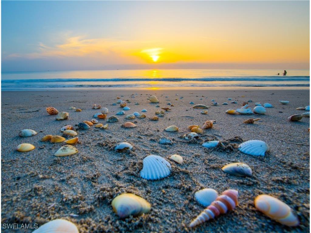 125 Pago Pago Drive E Naples FL 34113 226003021 image35