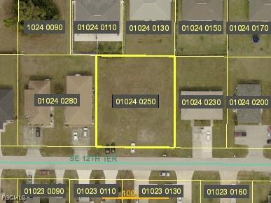 125 SE 12th Terrace Cape Coral FL 33990 2025009723 image2