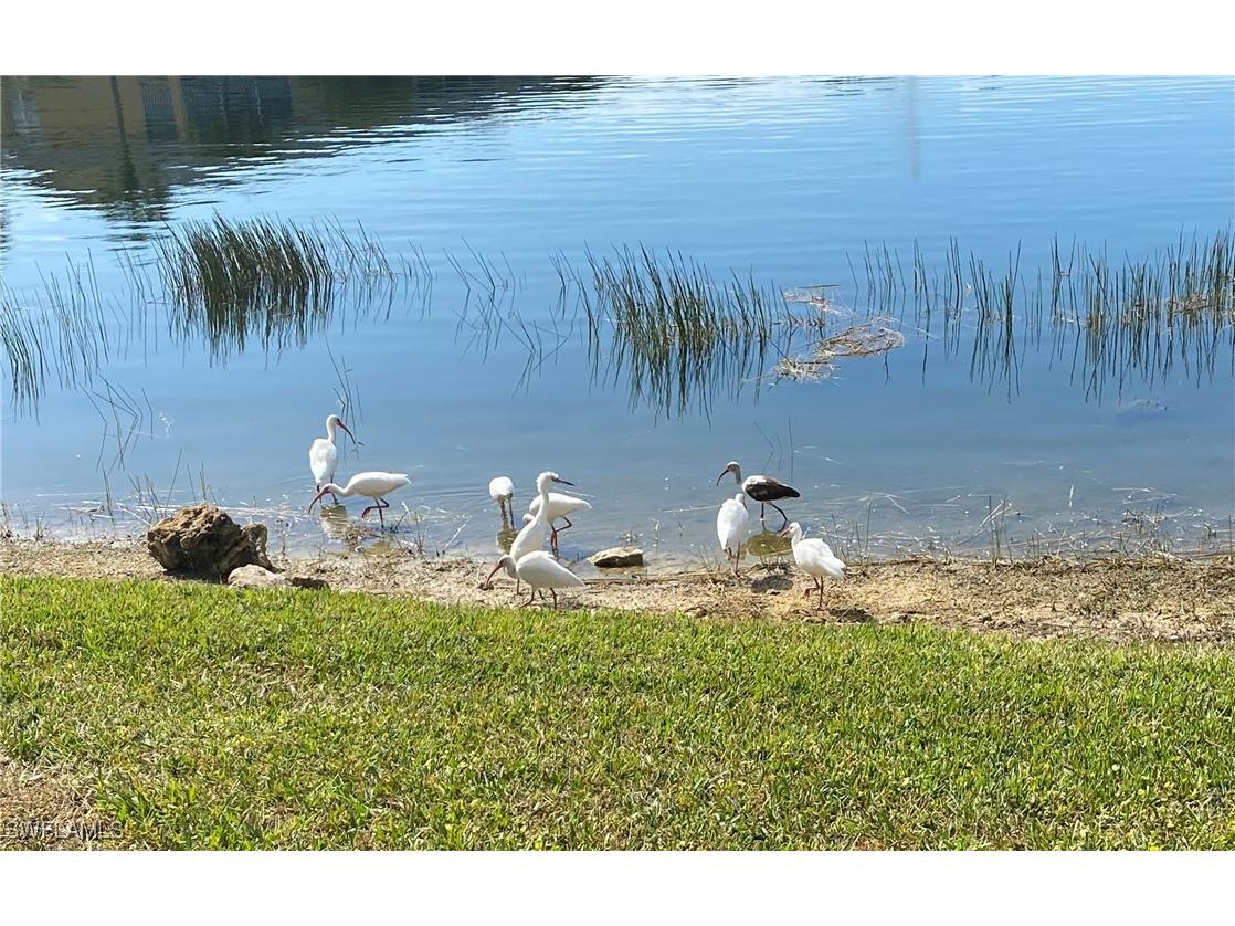 1250 Yesica Ann Circle #E106 Naples FL 34110 225052588 image2