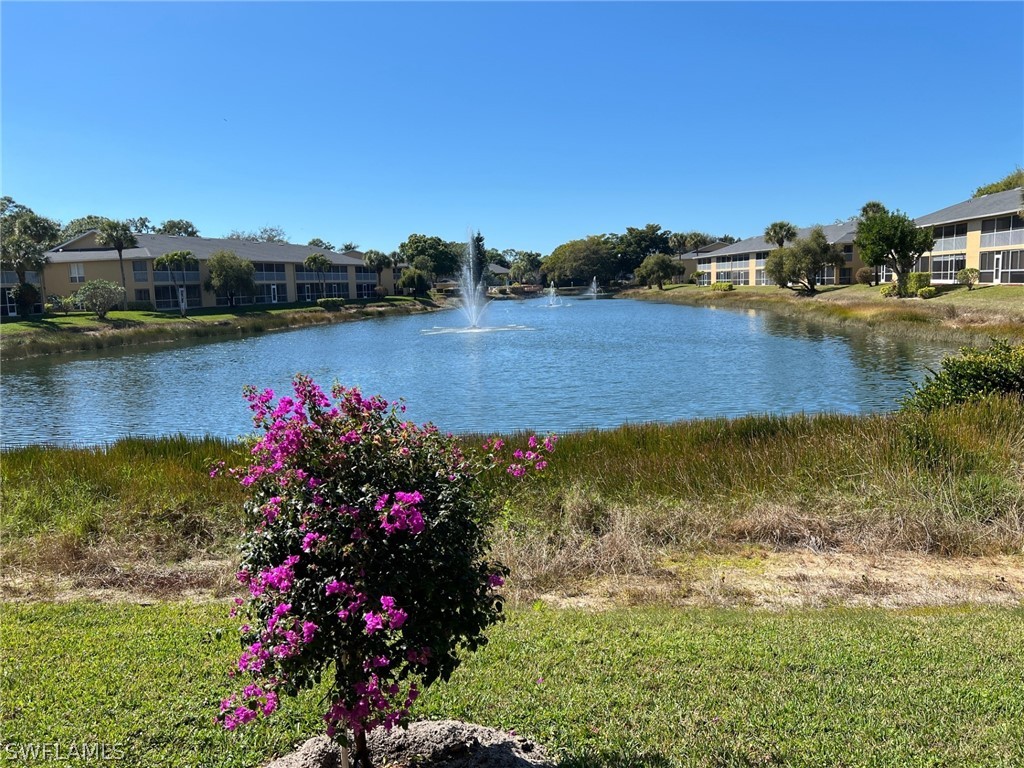 1250 Yesica Ann Circle #E106 Naples FL 34110 226007517 image23