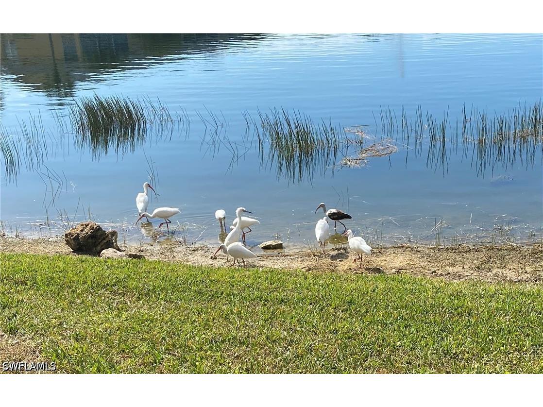 1250 Yesica Ann Circle #E106 Naples FL 34110 226021499 image8