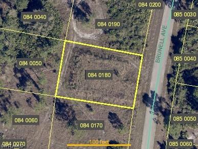 1252 Brunell Avenue Fort Myers FL 33913 223040061 image1