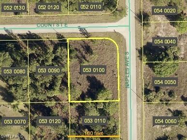 1252 Count Street E Lehigh Acres FL 33974 224084895 image1