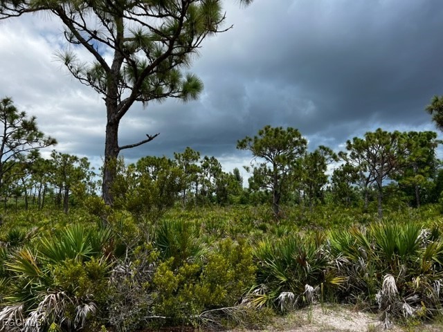 12528 Canoe Trail Bokeelia FL 33922 2025016451 image8