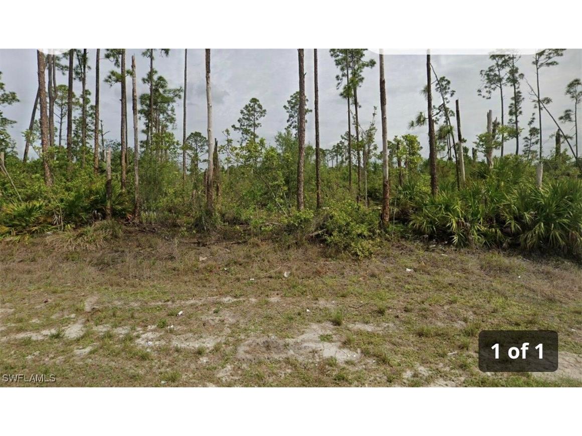 1253 Edna Street E Lehigh Acres FL 33974 224099348 image1