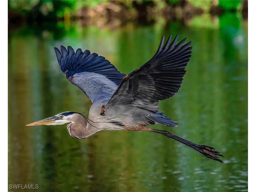 12531 Colliers Reserve Drive Naples FL 34110 225072794 image47