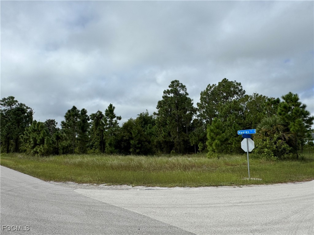 1254 Egbert Street E Lehigh Acres FL 33974 2025019263 image1