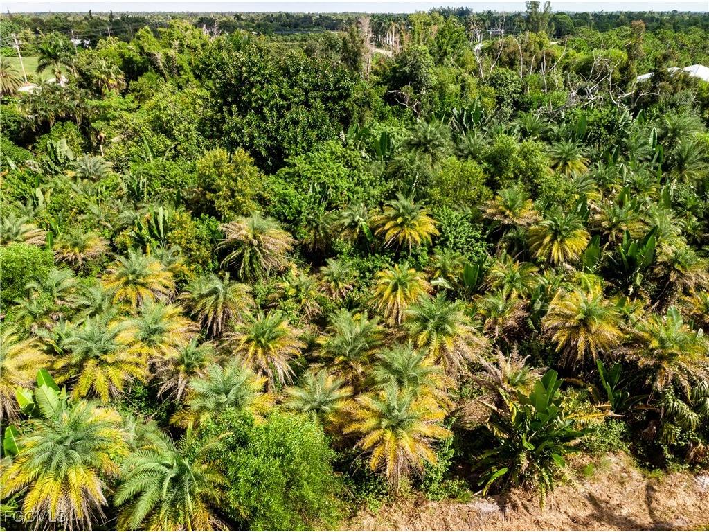 12549 Tiffany Road Bokeelia FL 33922 2025010559 image15