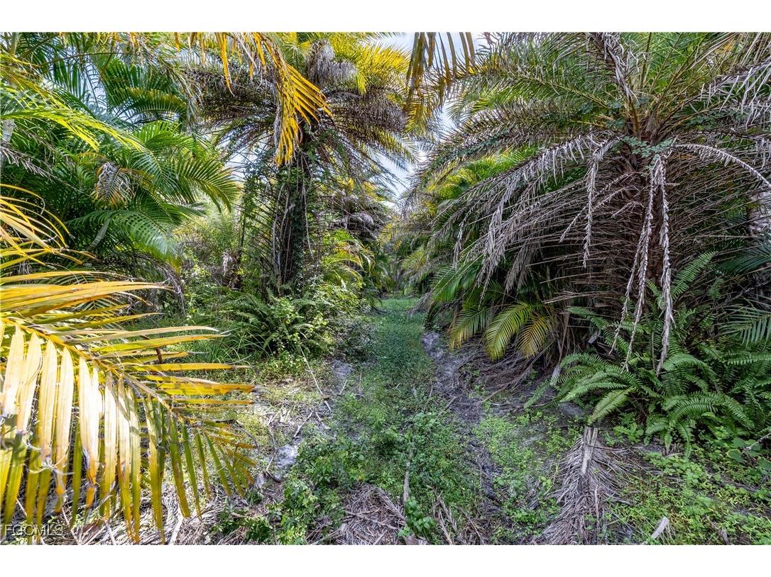 12549 Tiffany Road Bokeelia FL 33922 2025010559 image2