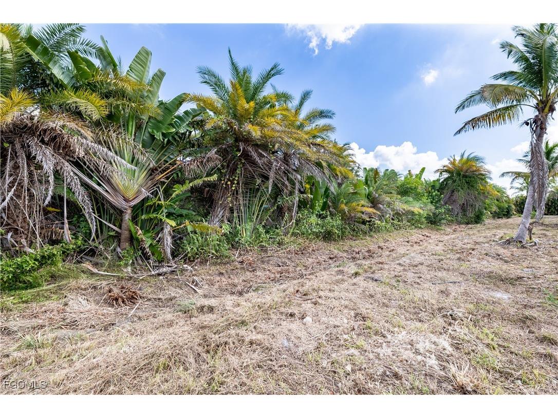 12549 Tiffany Road Bokeelia FL 33922 2025010559 image3