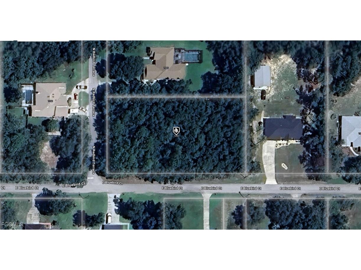 1255 E Bluebird Court Hernando FL 34442 2026001199 image1