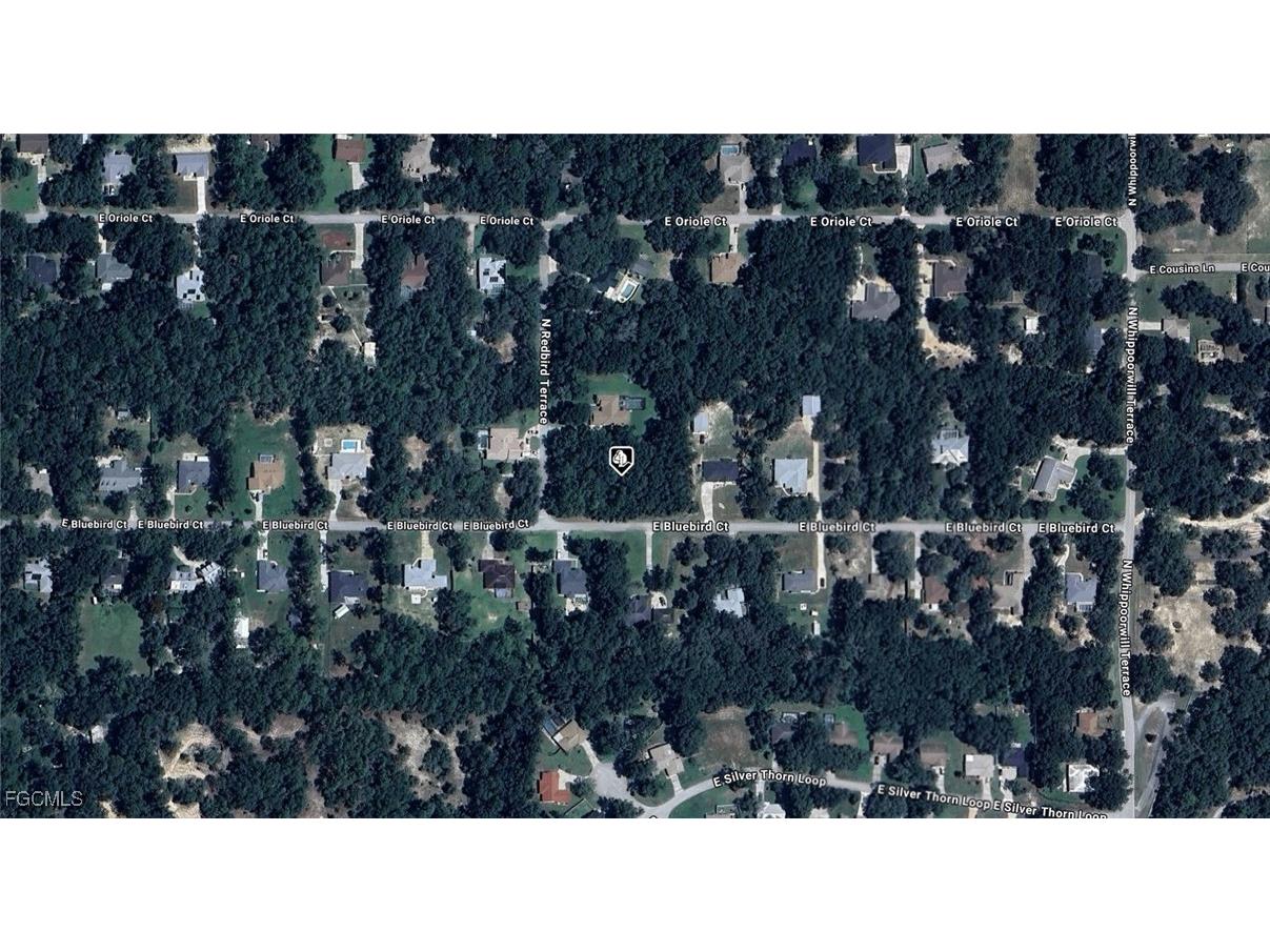 1255 E Bluebird Court Hernando FL 34442 2026001199 image2