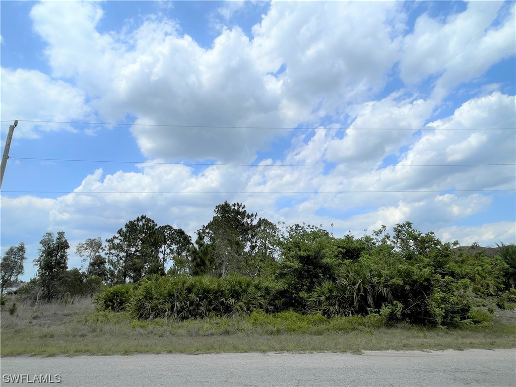 1255 Songbird Street Fort Myers FL 33913 223035785 image1