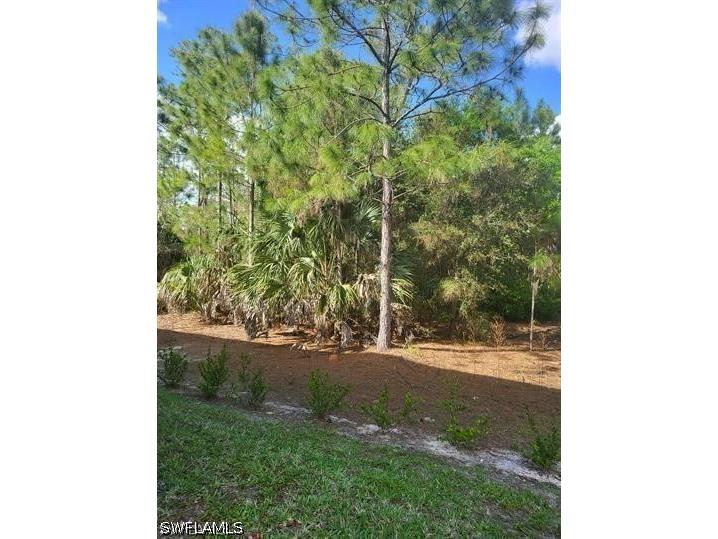 1256 Carpazi Court #502 Naples FL 34105 226015760 image21