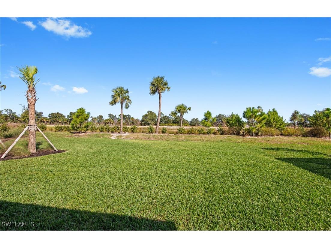 12599 Quartz Drive Alva FL 33920 225078797 image25