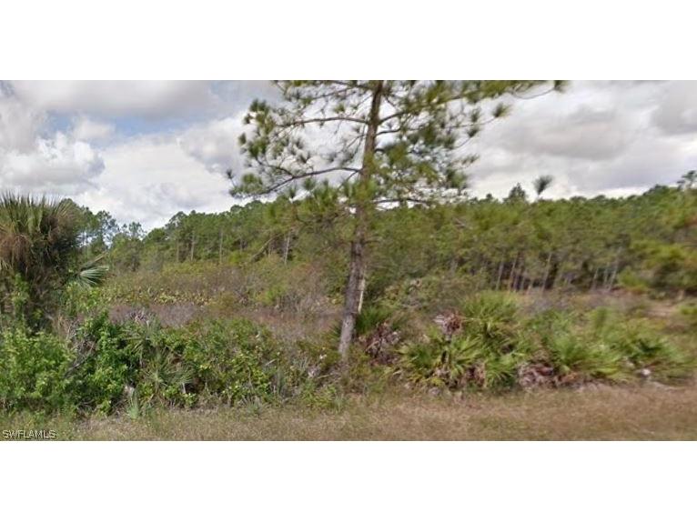 126 Noblemen Avenue S Lehigh Acres FL 33974 224033700 image1