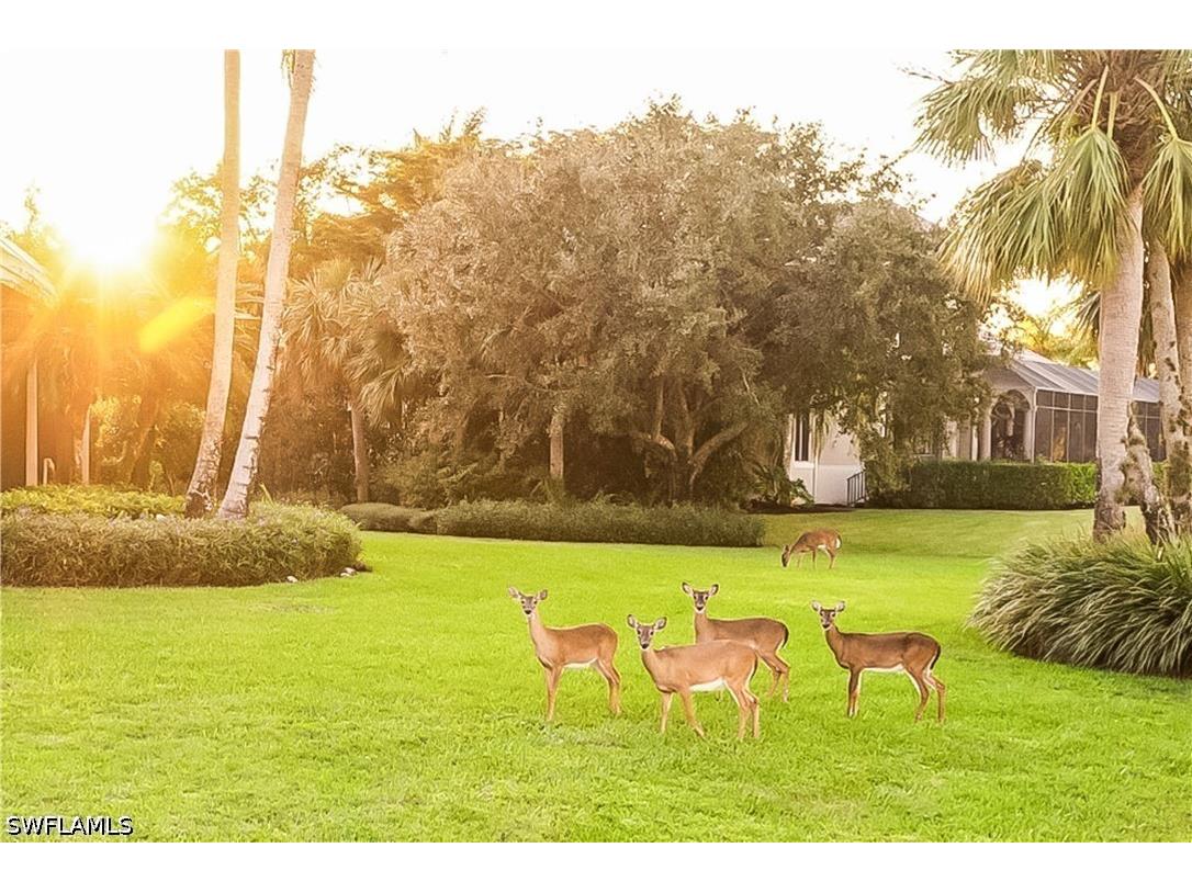 12614 Fenhurst Way Naples FL 34120 226016207 image44