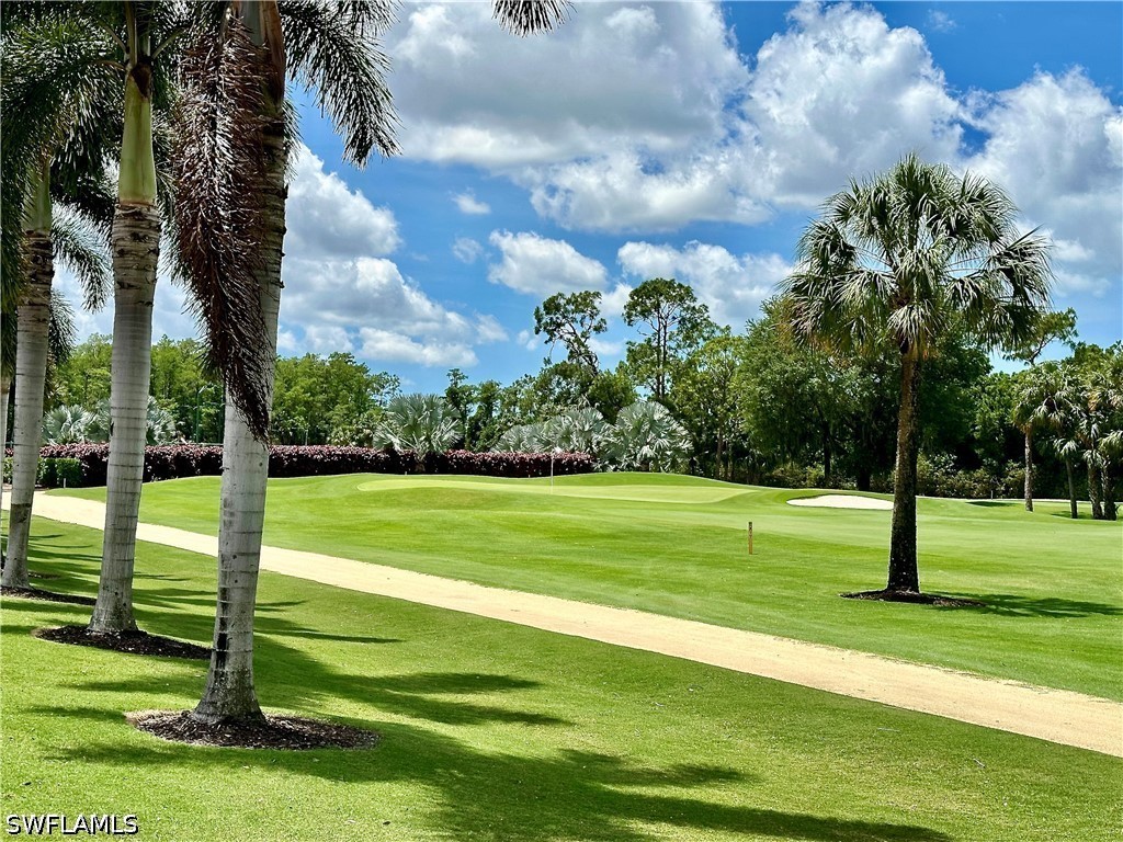 12654 Buttonbush Place Bonita Springs FL 34135 226016215 image43