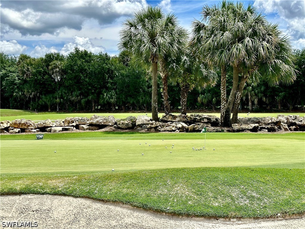 12654 Buttonbush Place Bonita Springs FL 34135 226016215 image46